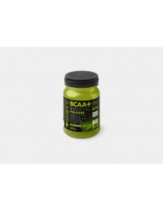 +Watt - Bcaa 8:1:1 in...