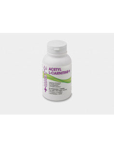 +Watt - Acetil-L-Carnitina+...