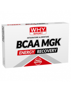 Why Sport - BCAA MGK 40 cpr