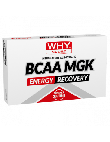 Why Sport - BCAA MGK 40 cpr